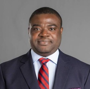 Professor Damilola Olawuyi, SAN